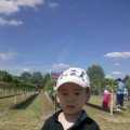 David &  